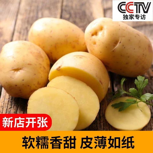 2020年新土豆新鲜山东黄皮黄心土豆新鲜蔬菜现挖现发精品马铃薯